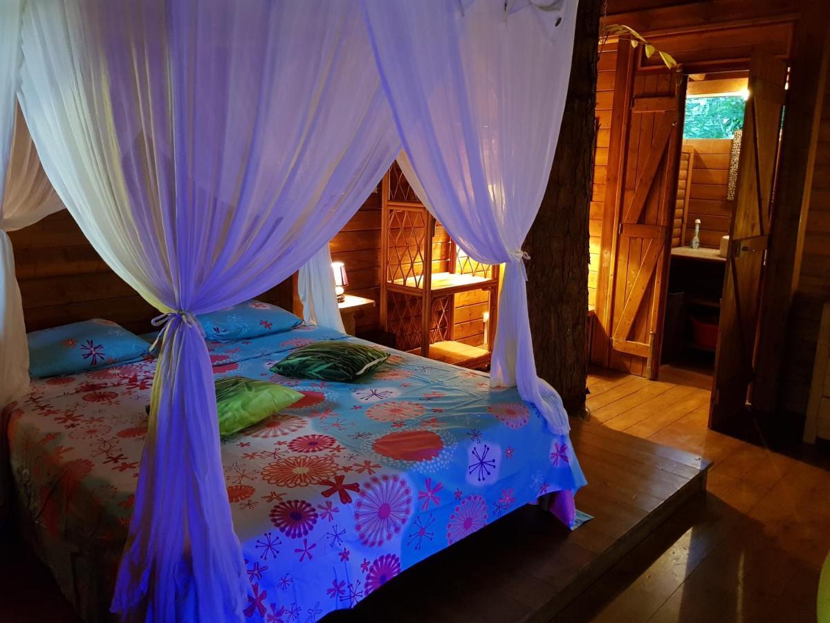 La Creolina Villa Sainte-Rose Ngoại thất bức ảnh